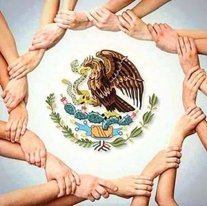 Meet your Posher, Rene